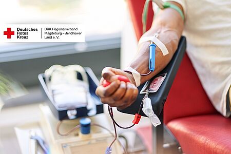 Blutspende beim DRK – Titelbild Aktionstag in Burg Titelbild zur DRK-Blutspende: Arm einer Person während der Blutspende, im Vordergrund Blutbeutel und Spende-Equipment, oben links das Logo des DRK-Regionalverbands Magdeburg–Jerichower Land.